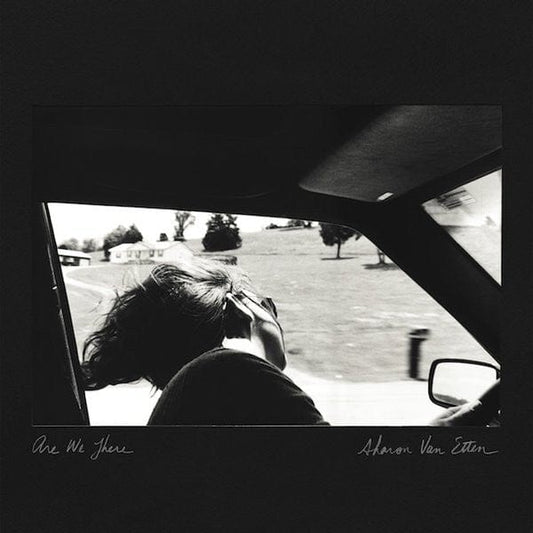 Sharon Van Etten - Are We There (LP, Album) on Further Records at Further Records