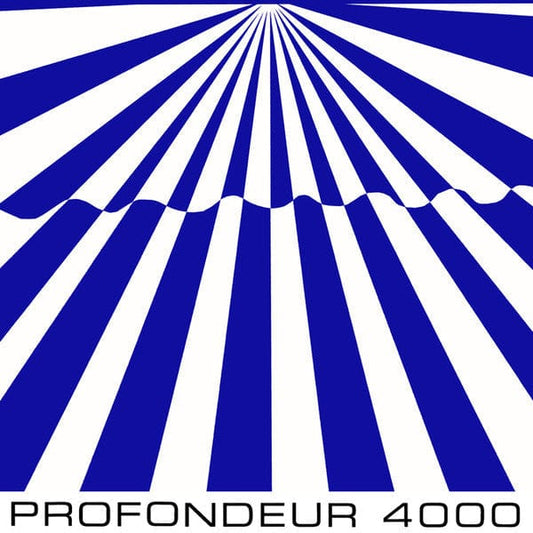 Shelter (20) - Profondeur 4000 (LP) Growing Bin Records Vinyl