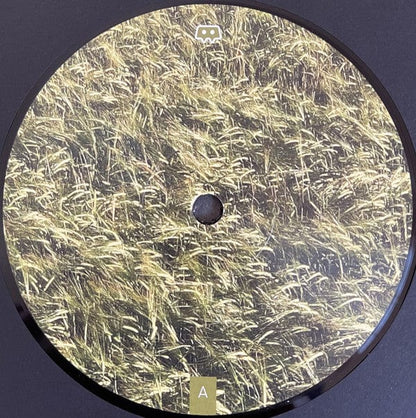 Skee Mask - Pool (3x12") Ilian Tape Vinyl