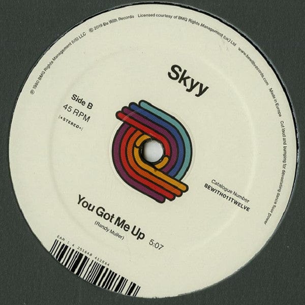 Skyy - Here's To You / You Got Me Up (12", RE, RM) Be With Records