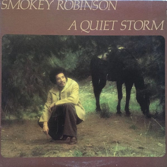 Smokey Robinson - A Quiet Storm (LP, Album) on Tamla at Further Records