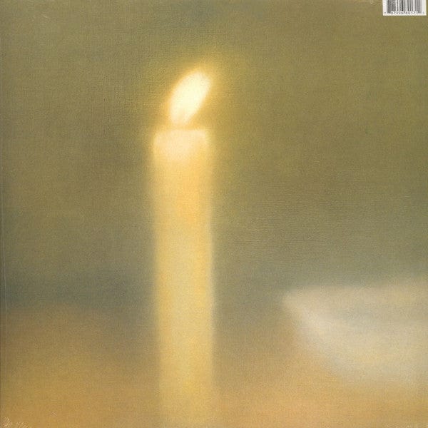 Sonic Youth - Daydream Nation (2xLP) Goofin' Records Vinyl 787996801711