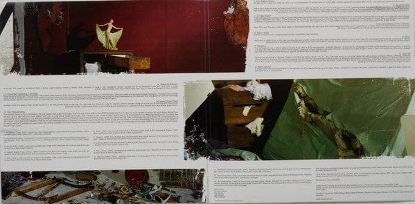 Sonic Youth - The Destroyed Room B-Sides And Rarities (2xLP) Goofin' Records,Goofin' Records Vinyl 787996801216