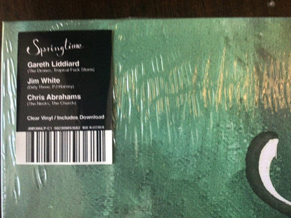 Springtime (8) - Springtime (LP) Joyful Noise Recordings,Joyful Noise Recordings,Tropical Fuck Storm Records,Tropical Fuck Storm Records Vinyl 602309893682