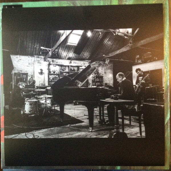 Springtime (8) - Springtime (LP) Joyful Noise Recordings,Joyful Noise Recordings,Tropical Fuck Storm Records,Tropical Fuck Storm Records Vinyl 602309893682