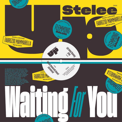 Stelee-up - Waiting For You (12") Pardonnez-nous Vinyl