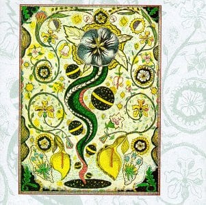 Steve Earle – I Feel Alright (CD, Warner Bros. Records, 1996) Back Cover