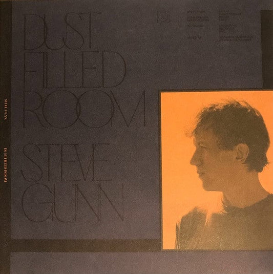 Steve Gunn / Bill Fay - Dust Filled Room (7") Dead Oceans Vinyl