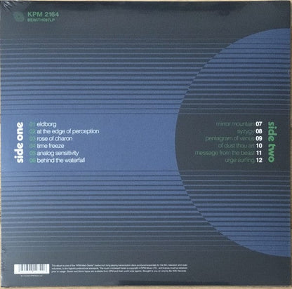 Steve Moore – Analog Sensitivity (LP, Be With Records, 2021) Back Cover