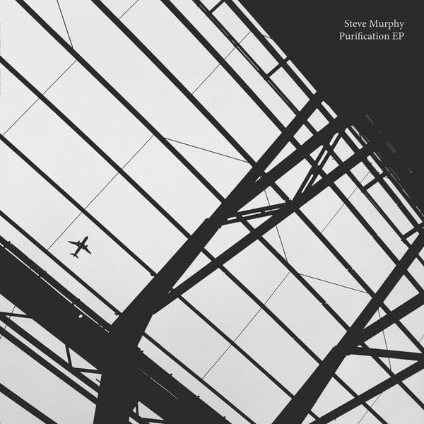Steve Murphy (12) - Purification EP (12") Wilson Records Vinyl