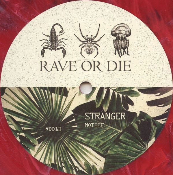 Stranger (27) / Umwelt - Rave Or Die 13 (10") Rave Or Die Vinyl