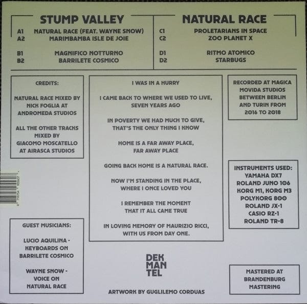 Stump Valley - Natural Race (2x12") Dekmantel Vinyl 8718754955607