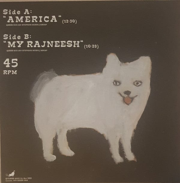 Sufjan Stevens – America (12", Asthmatic Kitty Records, 2020) Back Cover