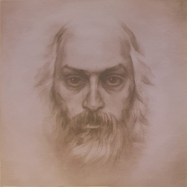 Sufjan Stevens – America (12", Asthmatic Kitty Records, 2020) Image 3