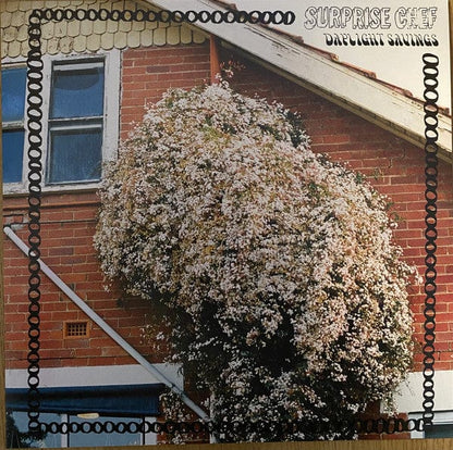 Surprise Chef – Daylight Savings (LP, Mr Bongo, 2020) Front Cover