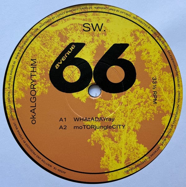 SW. - okALGORYTHM (2x12") Avenue 66 Vinyl 4251804138482