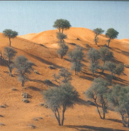 Teleseen - Exposures EP (12", EP) Heist (2)