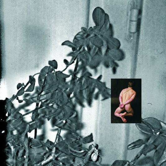 Terre Loves Robin Ben Galyas – Ben Loves Terre Loves Robin (12", Premature Recordings, 2018) Front Cover