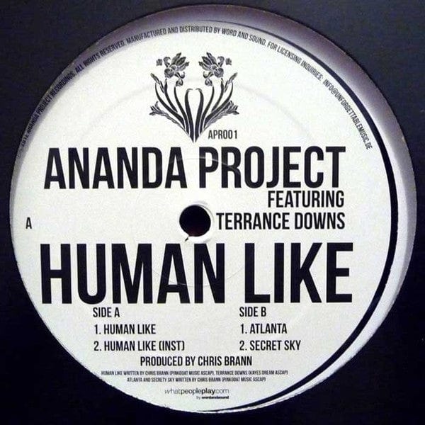 Ananda Project featuring Terrance Downs - Human Like (12