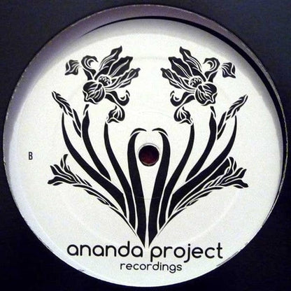 The Ananda Project featuring Terrance Downs - Human Like (12") Ananda Project Recordings Vinyl