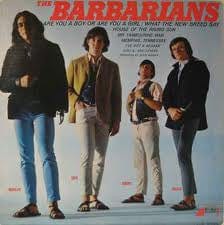 The Barbarians - Are You A Boy Or Are You A Girl (CD) One Way Records (6) CD 724381796528