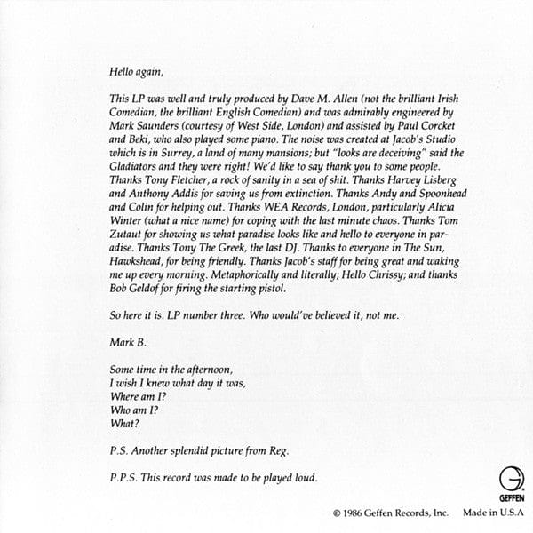 The Chameleons UK – Strange Times (CD, Geffen Records) Image 5