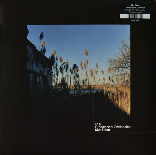 The Cinematic Orchestra - Ma Fleur (2xLP) Ninja Tune Vinyl 5054429148725