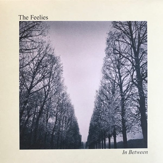 The Feelies - In Between  (LP) Bar/None Records Vinyl 032862025013