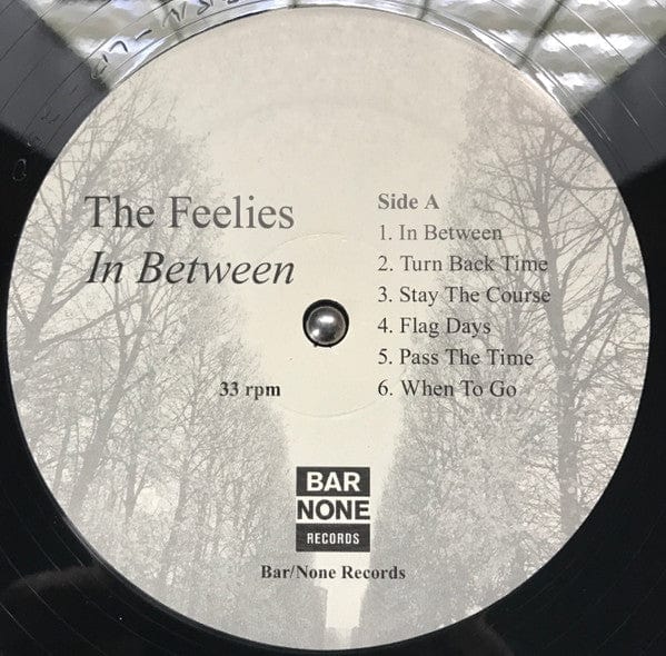 The Feelies - In Between  (LP) Bar/None Records Vinyl 032862025013