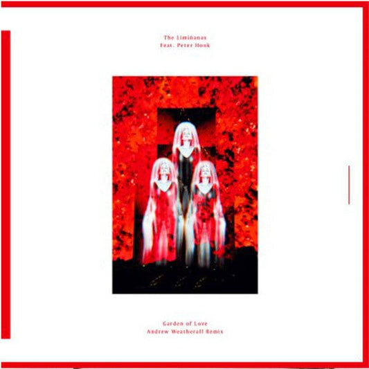 The Limiñanas Feat. Peter Hook - Garden Of Love (Andrew Weatherall Remix) (12") Because Music Vinyl 5060421565521