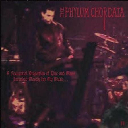 The Phylum Chordata - A Sequential Proportion Of Line And Mass Intended Mostly For My Muse... (CDr) Room Tehck Records CDr