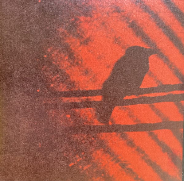 The Silver Mt. Zion Memorial Orchestra & Tra-la-la Band – Born Into Trouble As The Sparks Fly Upward (2x10", Constellation, 2004) Front Cover