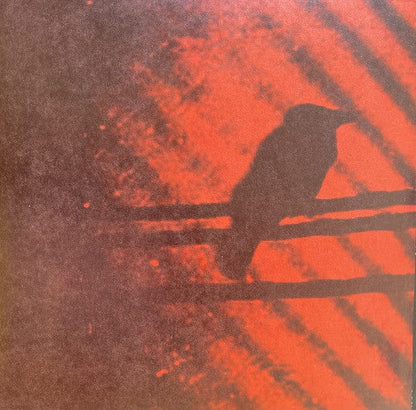 The Silver Mt. Zion Memorial Orchestra & Tra-la-la Band – Born Into Trouble As The Sparks Fly Upward (2x10", Constellation, 2004) Front Cover