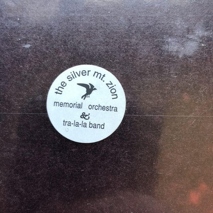 The Silver Mt. Zion Memorial Orchestra & Tra-la-la Band – Born Into Trouble As The Sparks Fly Upward (2x10", Constellation, 2004) Image 3