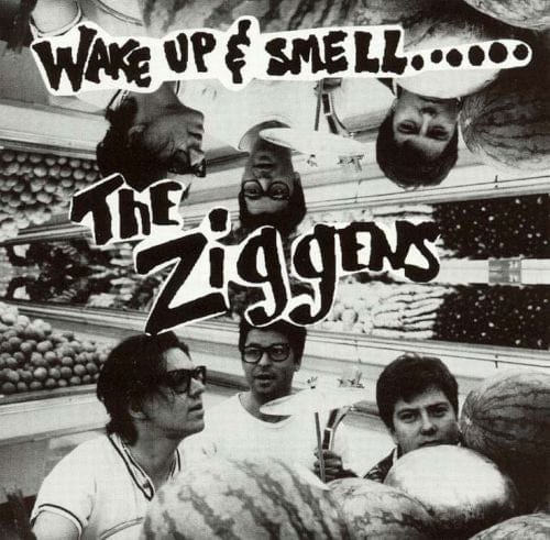 The Ziggens - Wake Up And Smell (CD) Skunk Records (2) CD