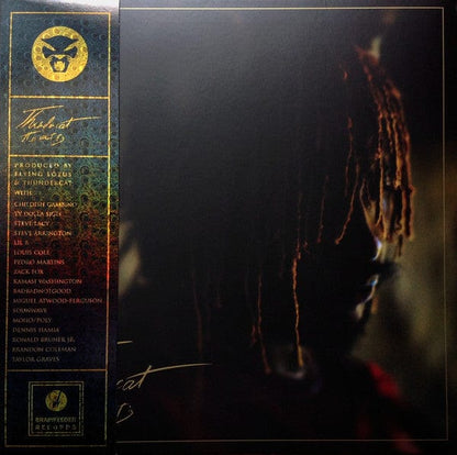 Thundercat - It Is What It Is (LP) Brainfeeder Vinyl 5054429140439