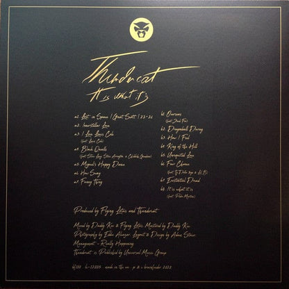 Thundercat - It Is What It Is (LP) Brainfeeder Vinyl 5054429140439