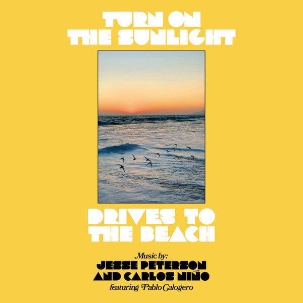 Turn On The Sunlight - Drives To The Beach (12") Tokonoma Records Vinyl