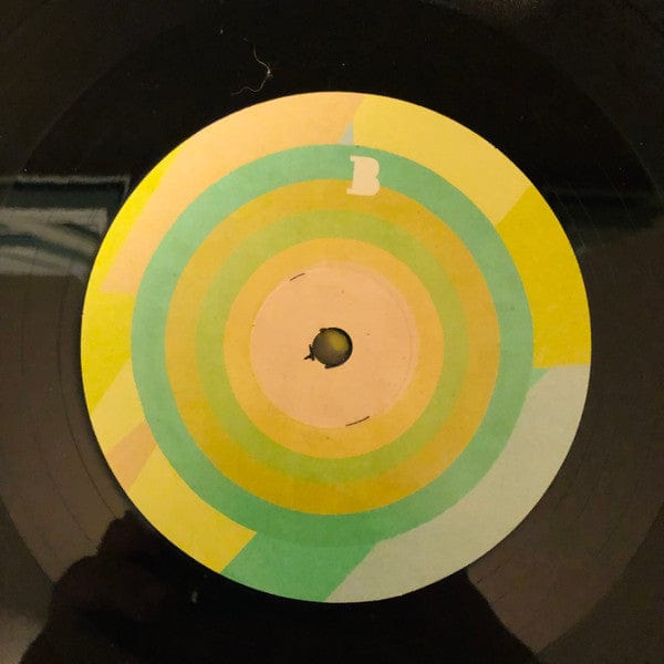 Ty Segall - Melted (LP) Goner Records Vinyl 655035006819