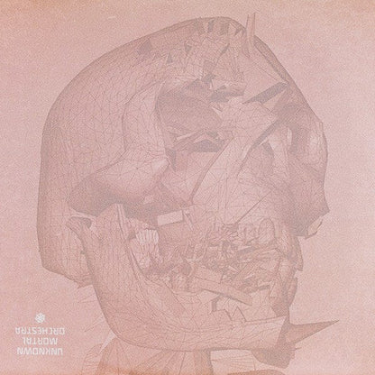 Unknown Mortal Orchestra - II (LP) Jagjaguwar Vinyl 656605223216