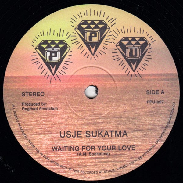 Usje Sukatma* - Waiting For Your Love (12") Peoples Potential Unlimited Vinyl