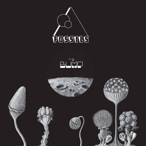 UV & NEN - The Bump (12", EP, Promo) Fossils