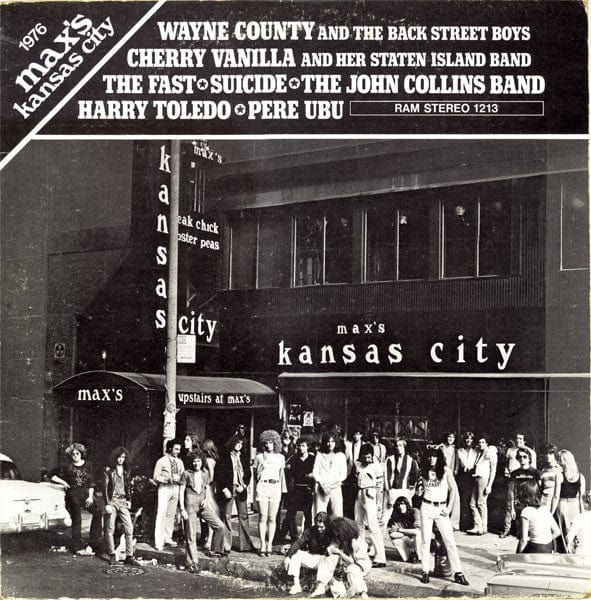 Various - 1976 Max's Kansas City (LP) Ram Records (6) Vinyl