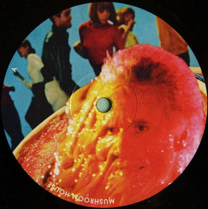 Various - Kapote Pres. Mushroom House Vol 2 (2x12") Toy Tonics Vinyl