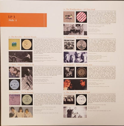 Various - Strum & Thrum: The American Jangle Underground 1983-1987 (2xLP) Captured Tracks Vinyl 817949017255