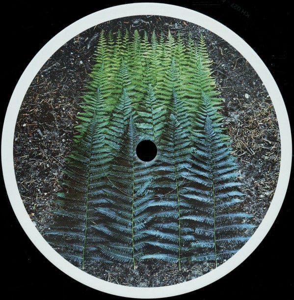 Various - Transition Vol. 1 (12") Knekelhuis Vinyl