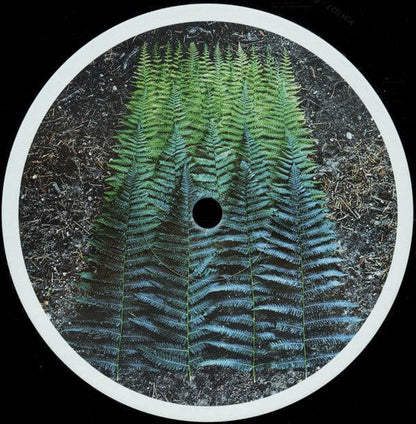 Various - Transition Vol. 1 (12") Knekelhuis Vinyl