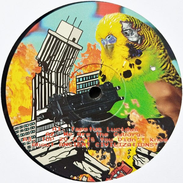 Volruptus - First Contact (2x12", Album) bbbbbb recors