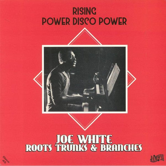 W.J.W. And Roots Trunks & Branches - Rising / Power Disco Power (12") Jamwax