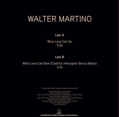 Walter Martino - What Love Can Do (12") Miss You Vinyl